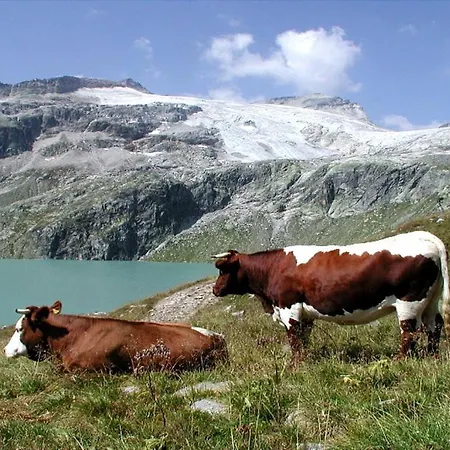 Stubachblick Konukevi