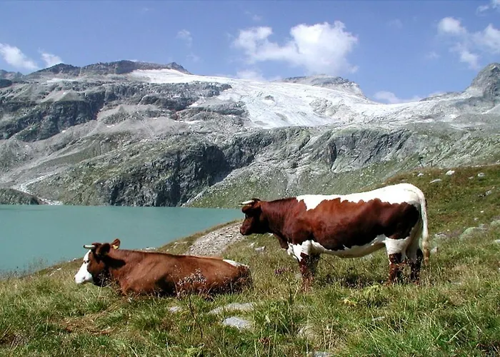 Stubachblick Πανσιόν